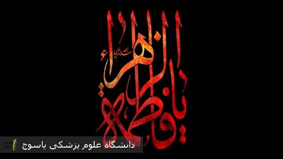 پیام-تسلیت-دکتر-جعفر-نیکبخت-به-مناسبت-دهه-فاطمیه